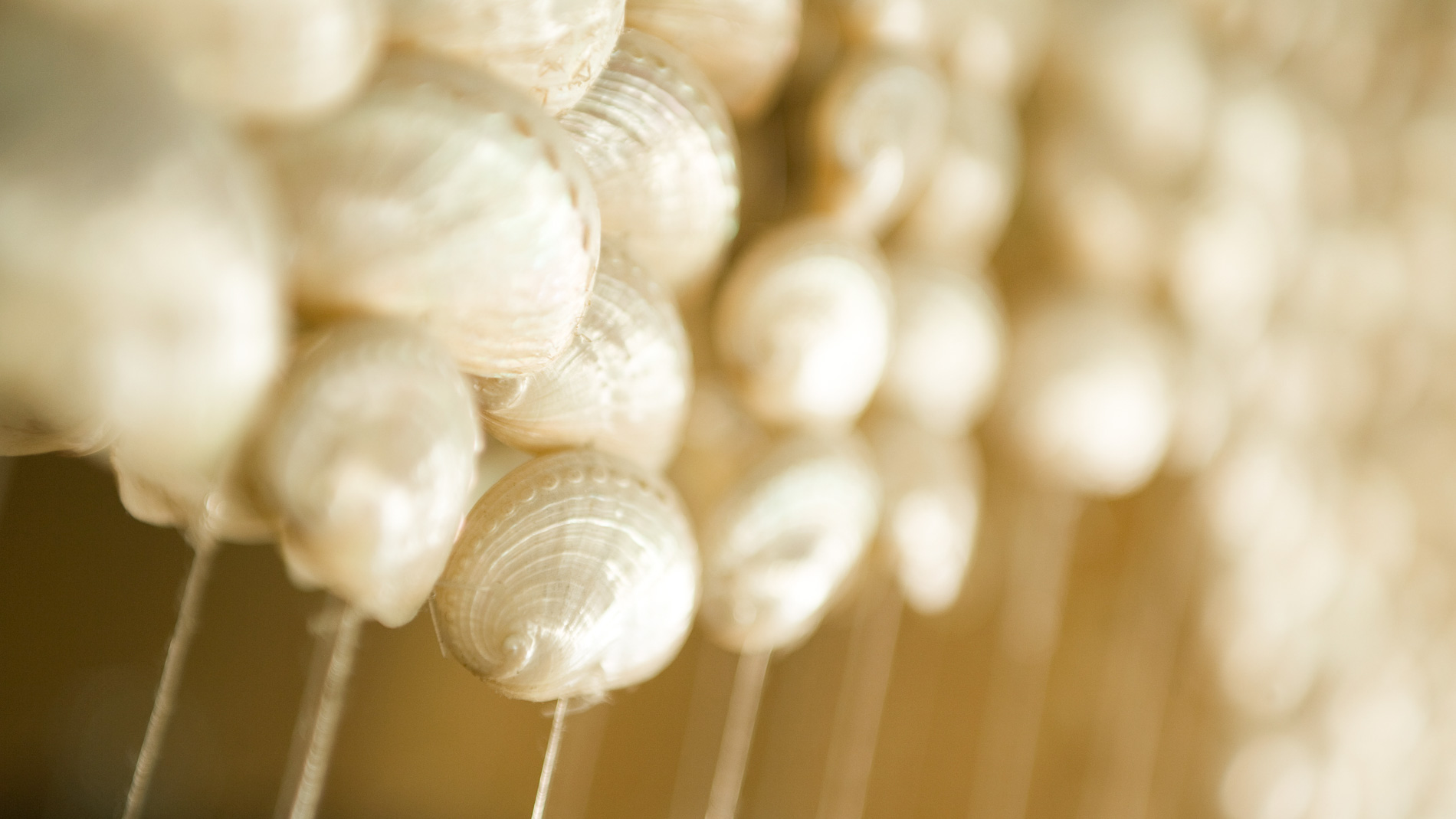 <i>&Uuml;ber mich</i>